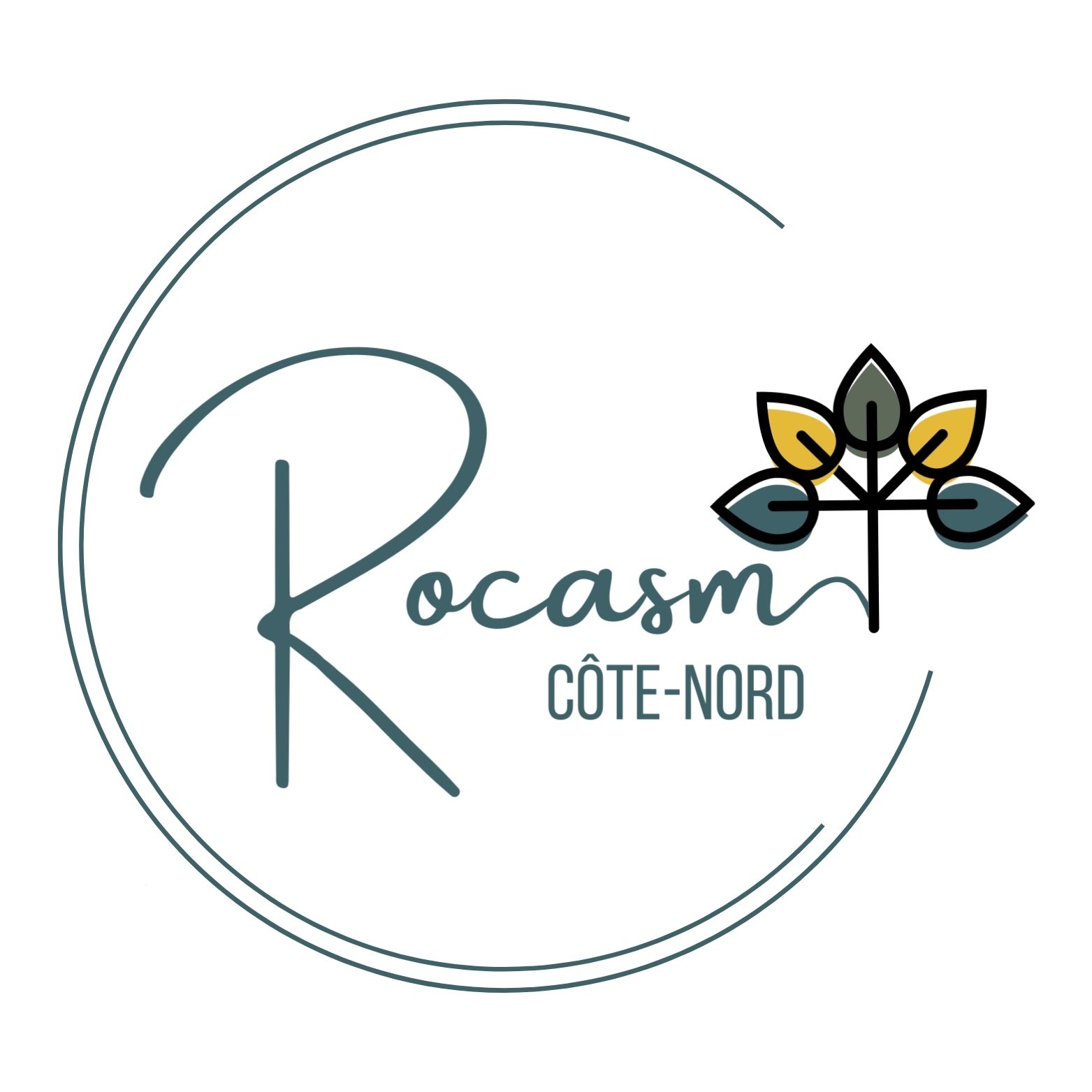 regroupement des organismes communautaires et alternatifs en santé mentale Côte-Nord (ROCASM)